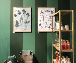 atelier bohemian shades