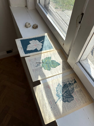 Plant printing workshop 27.-29. June 2027