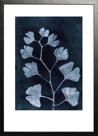 Gingko Dark Ink