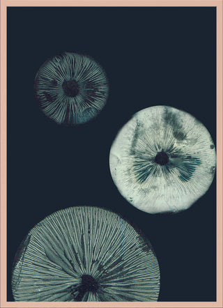 Mushroom 1 Dark Teal