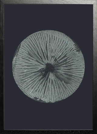 Mushroom 3 Dark Grey