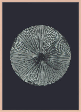 Mushroom 3 Dark Grey