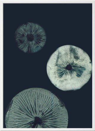 Mushroom 1 Dark Teal