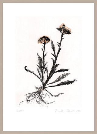 Yarrow 2 Black/White