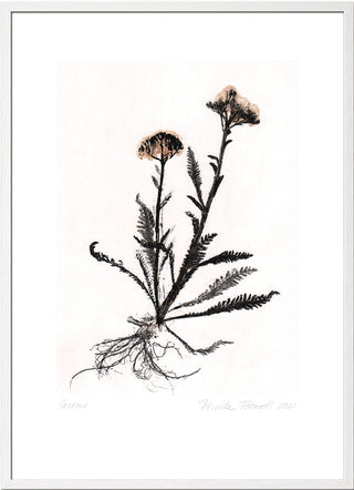 Yarrow 2 Black/White